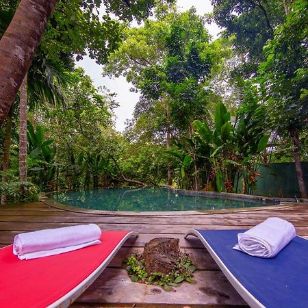 Wild Nest Villa Unawatuna Zewnętrze zdjęcie