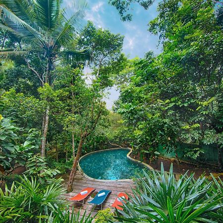 Wild Nest Villa Unawatuna Zewnętrze zdjęcie